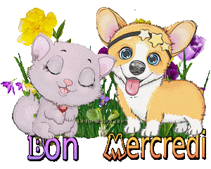 Gif animé Bon mercredi chien chat